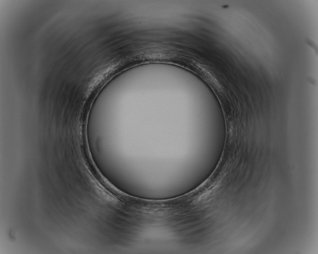 X0000092030725200709061350