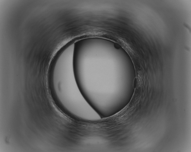 X0000092030726200709061350
