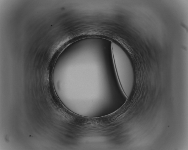 X0000092030727200709061350