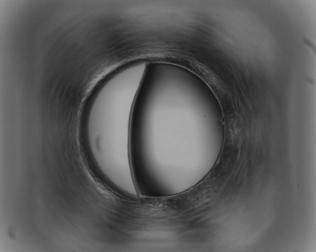 X0000092030728200709061350