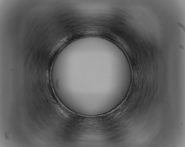 X0000092030729200709061350