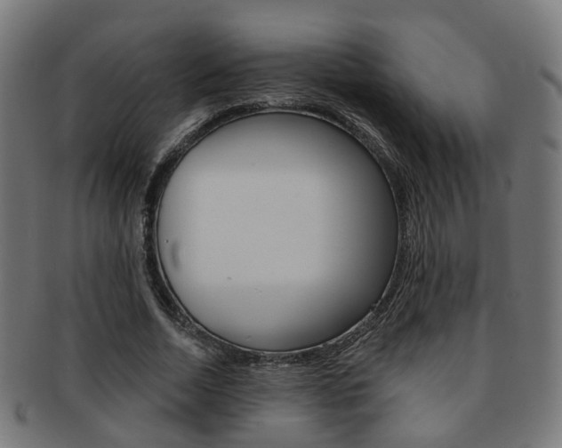 X0000092030730200709061350