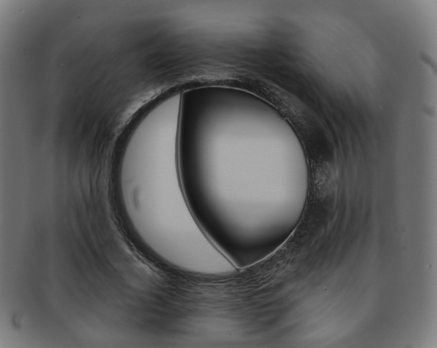 X0000092030732200709061350