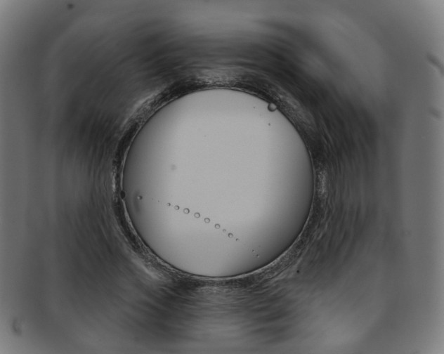 X0000092030733200709061350