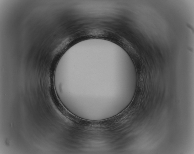 X0000092030734200709061350