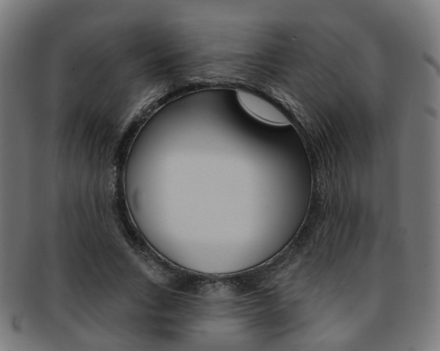 X0000092030735200709061350