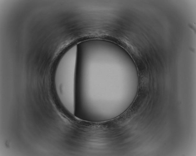 X0000092030736200709061350