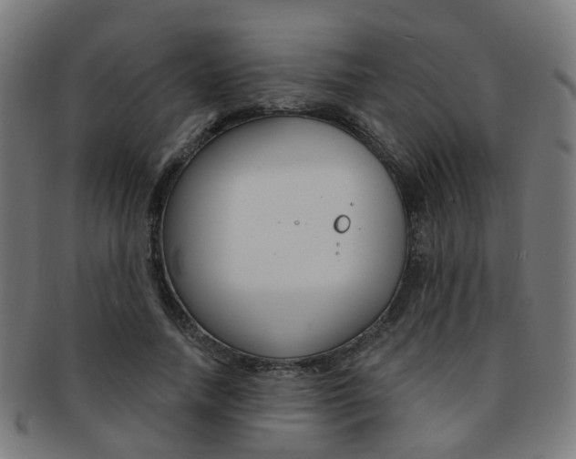 X0000092030738200709061350