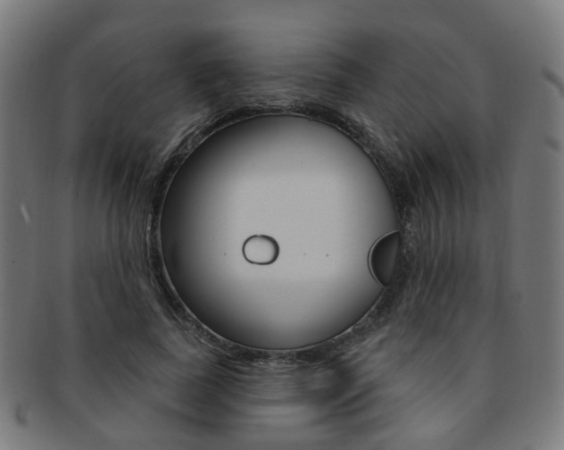 X0000092030739200709061350