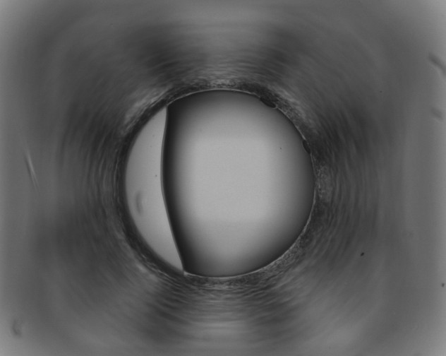 X0000092030740200709061350