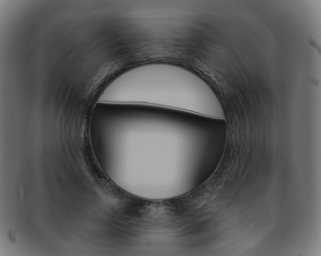 X0000092030742200709061350