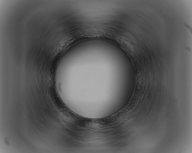 X0000092030743200709061350