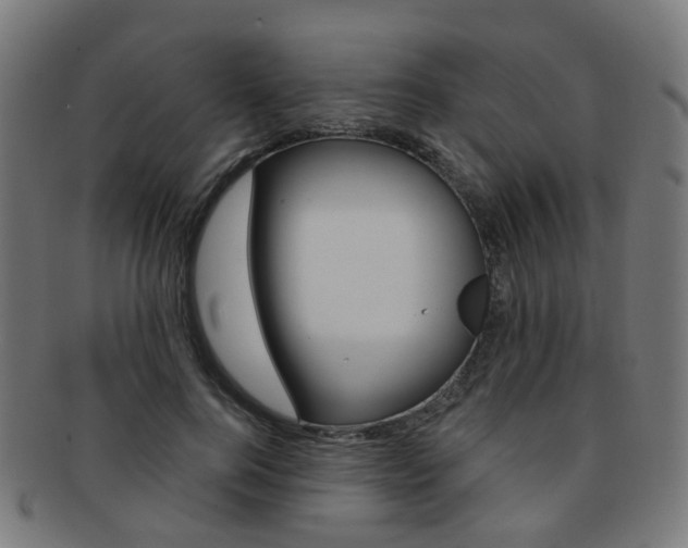 X0000092030744200709061350