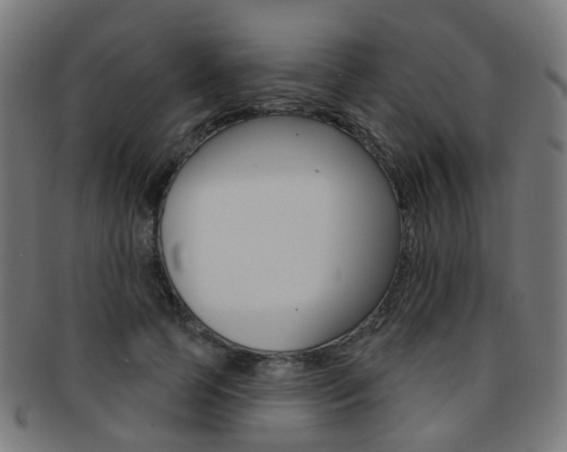 X0000092030745200709061350