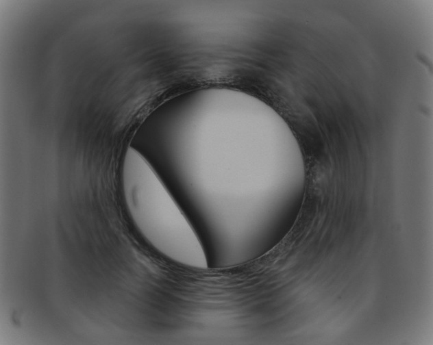 X0000092030746200709061350