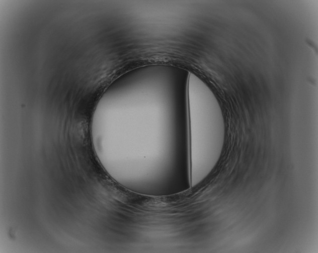 X0000092030747200709061350