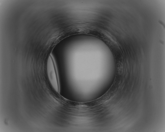 X0000092030748200709061350