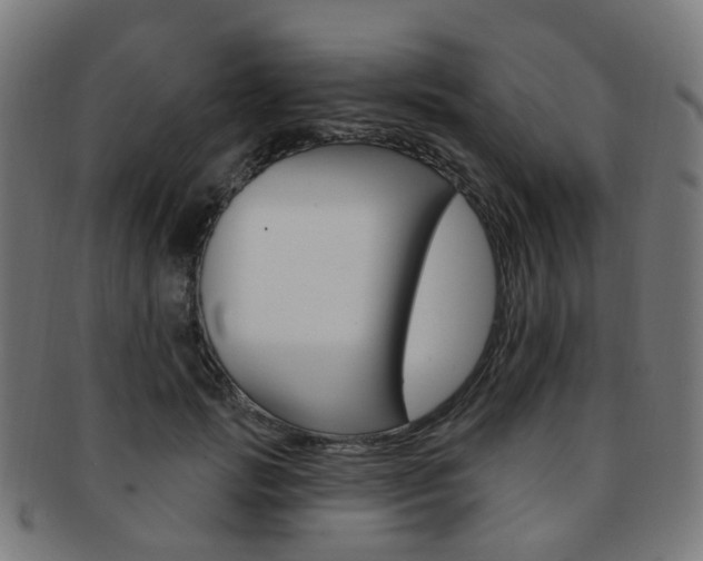X0000092030749200709061350