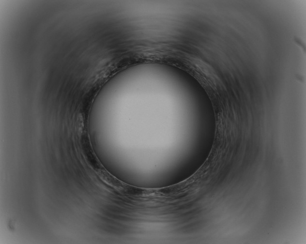 X0000092030752200709061350