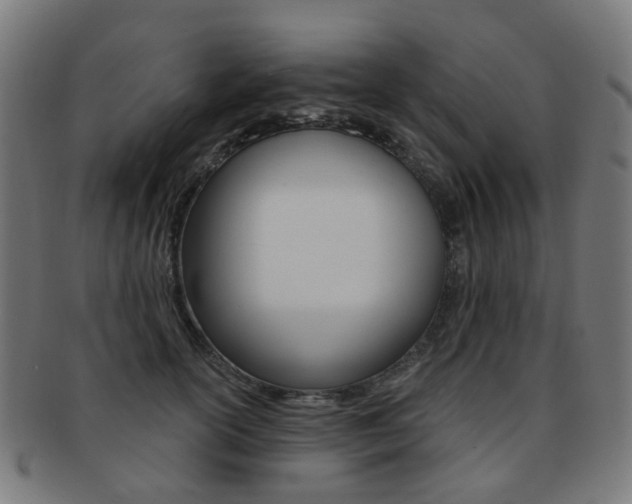 X0000092030754200709061350