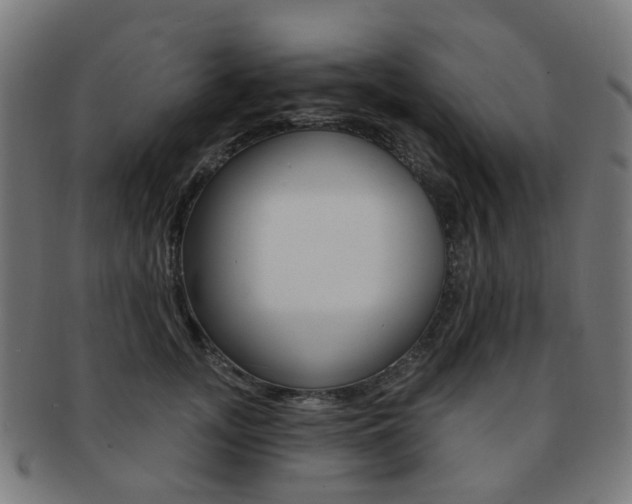 X0000092030755200709061350