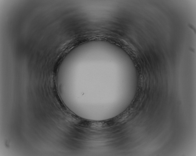 X0000092030757200709061350