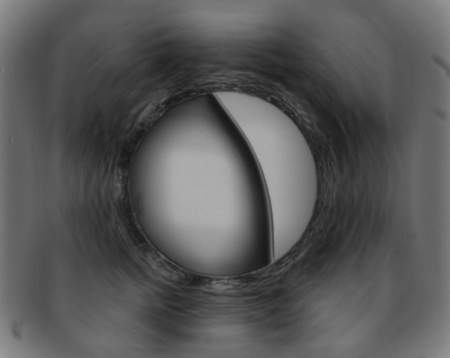 X0000092030758200709061350