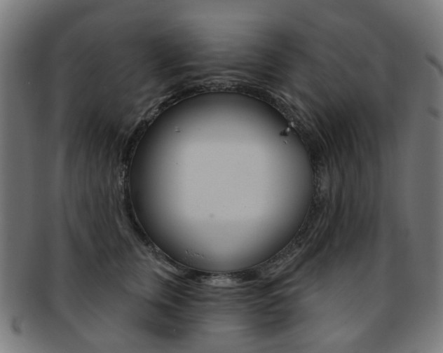 X0000092030759200709061350