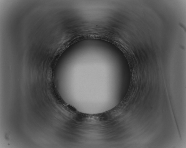 X0000092030760200709061350