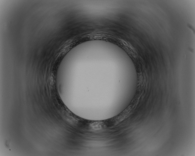 X0000092030761200709061351