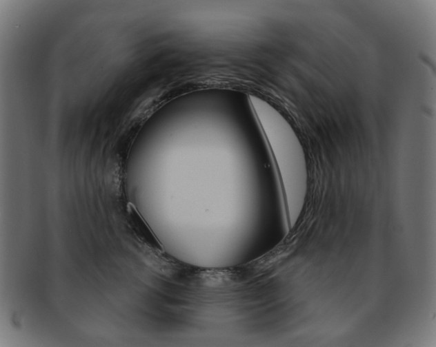 X0000092030762200709061351