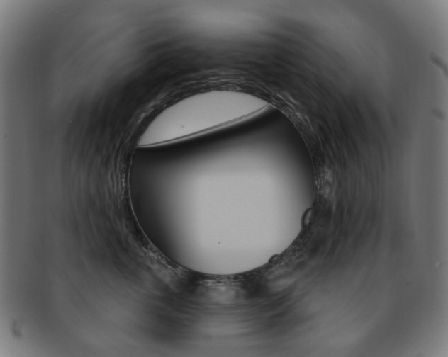X0000092030763200709061351