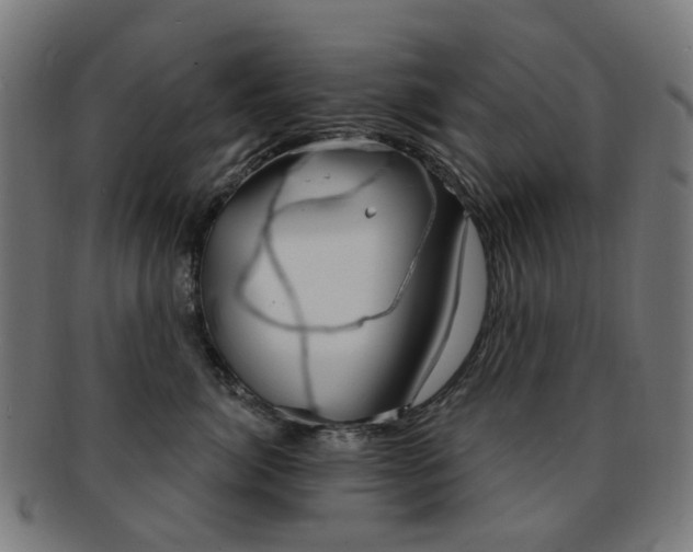 X0000092030764200709061351