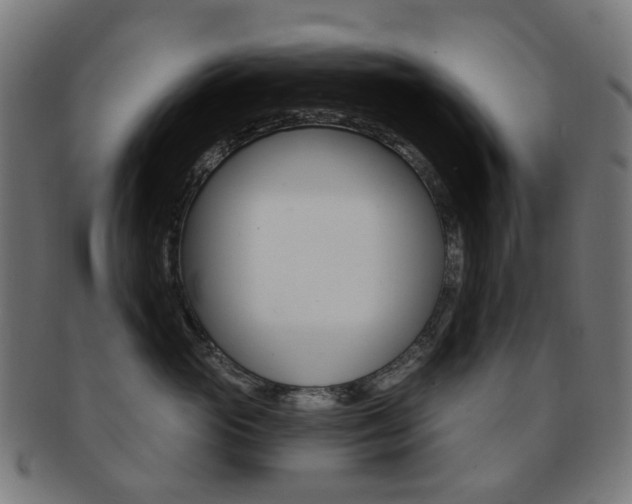 X0000092030765200709061351