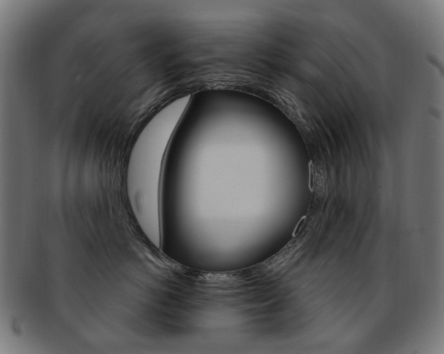 X0000092030766200709061351