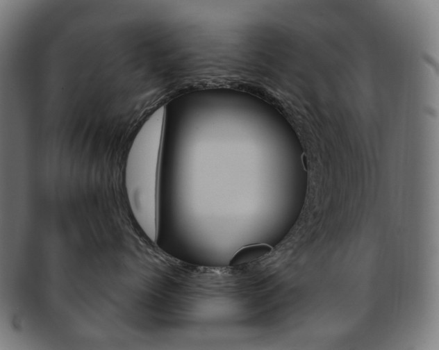 X0000092030768200709061351
