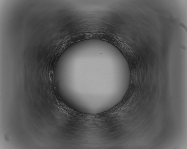 X0000092030770200709061350