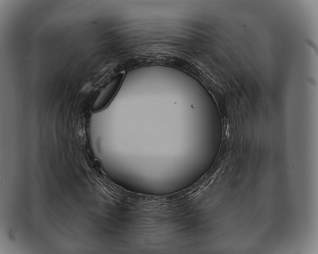 X0000092030771200709061350