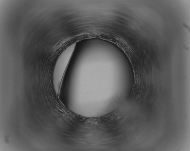 X0000092030773200709061350