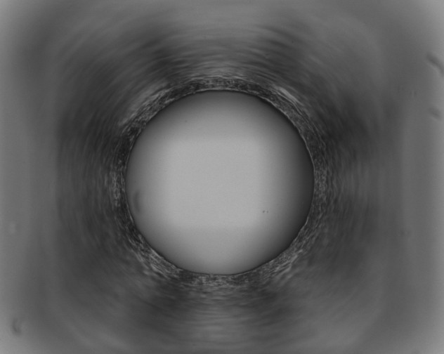 X0000092030774200709061350