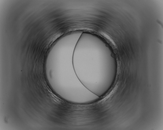X0000092030777200709061350