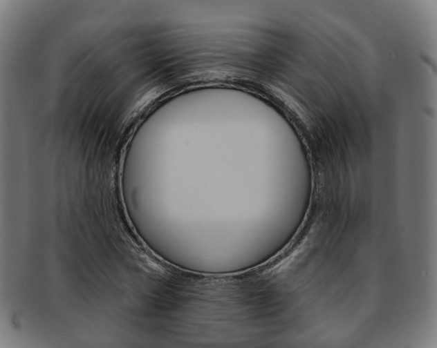 X0000092030778200709061350