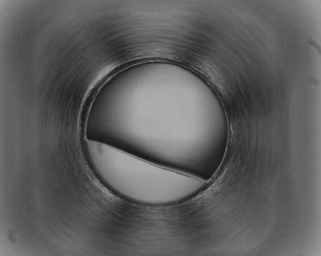 X0000092030780200709061350