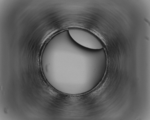 X0000092030782200709061350