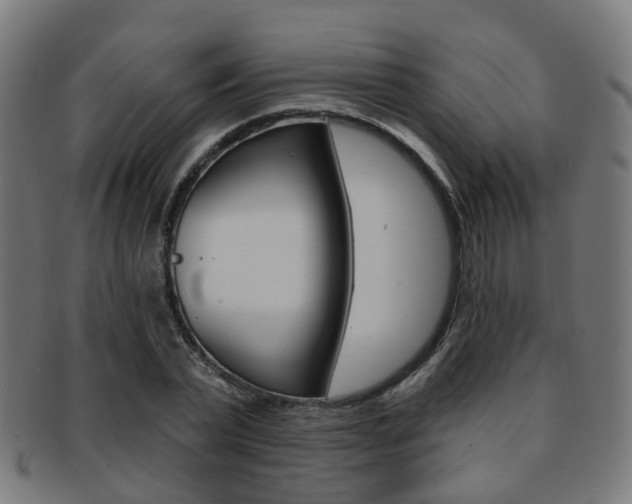 X0000092030783200709061350