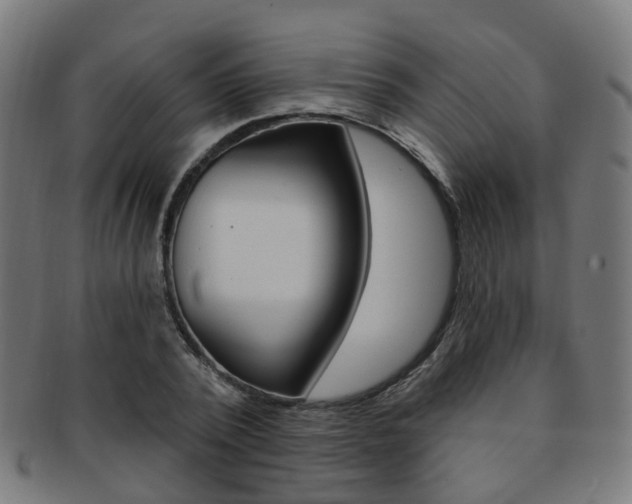 X0000092030784200709061350
