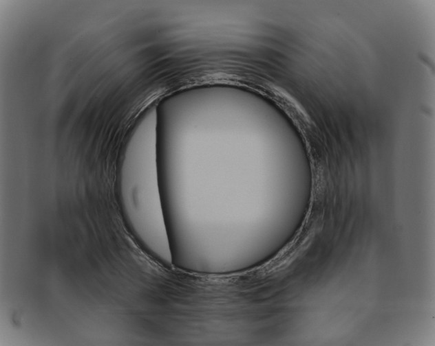 X0000092030785200709061350