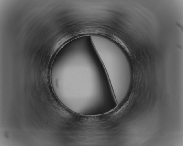 X0000092030786200709061350