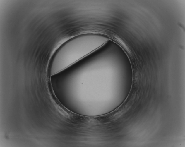 X0000092030787200709061350