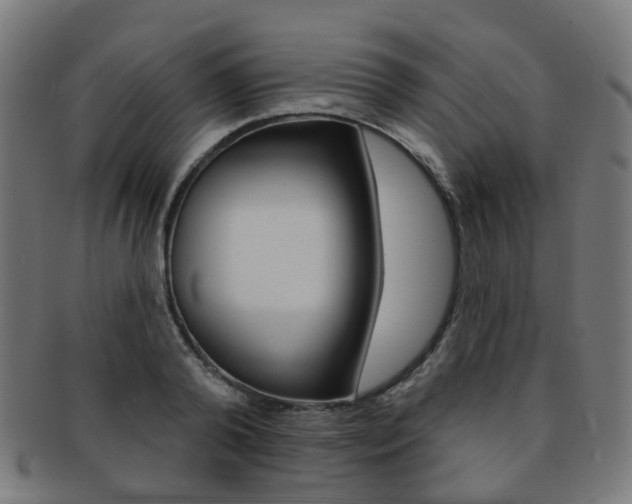 X0000092030792200709061350